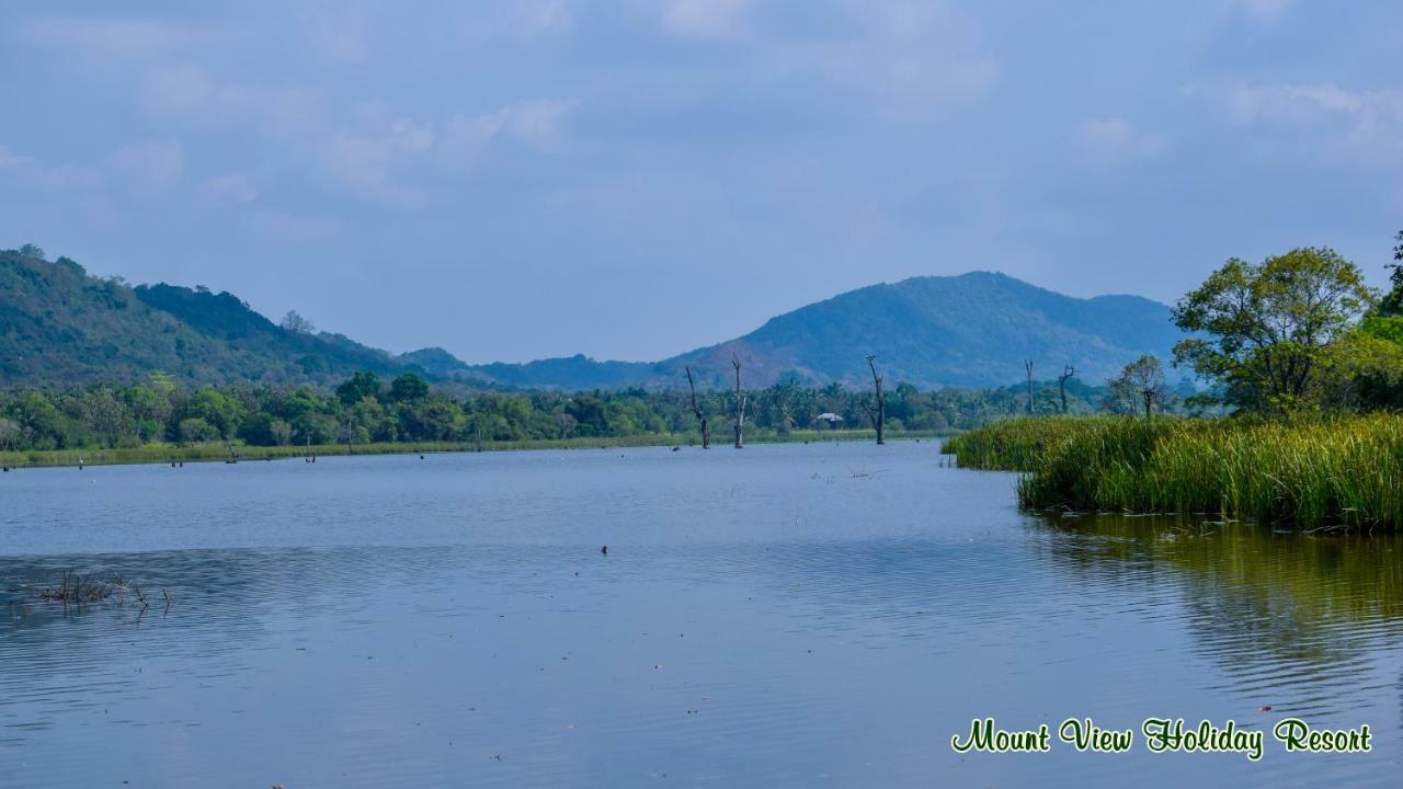 Mount View Holiday Resort Dambulla Exterior foto